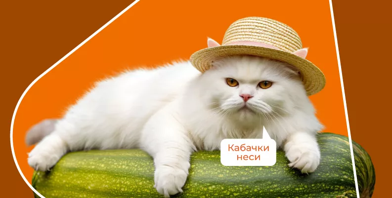 Изображение новости 333