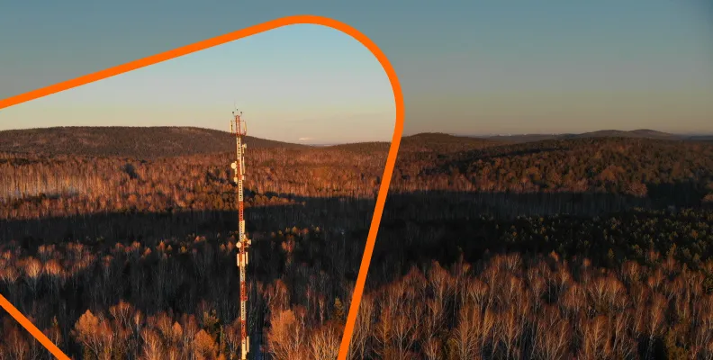 Изображение новости 333