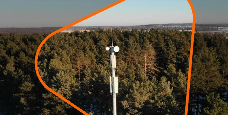 Изображение новости 333