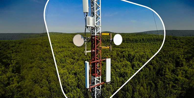 Изображение новости 333