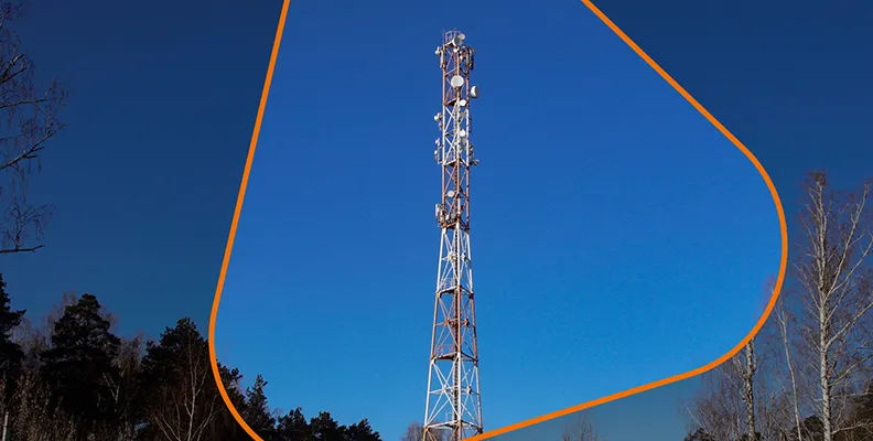 Изображение новости 333