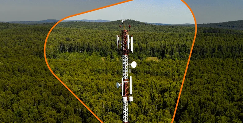 Изображение новости 333